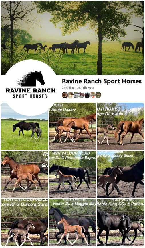 See us on Facebook!